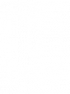 Puzzle Genius