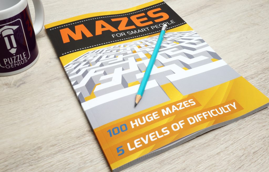Mazes For Smart People Cover