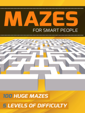 Mazes For Smart People book cover