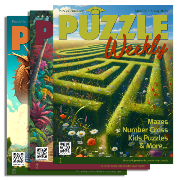 Puzzle Weekly Issues 32, 31 and 29